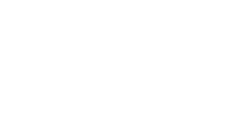 visa2